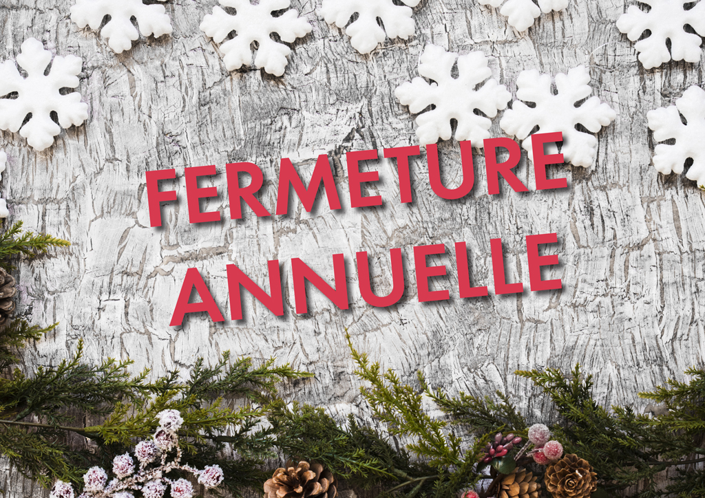 Tronc d'arbre avec pomme de pins