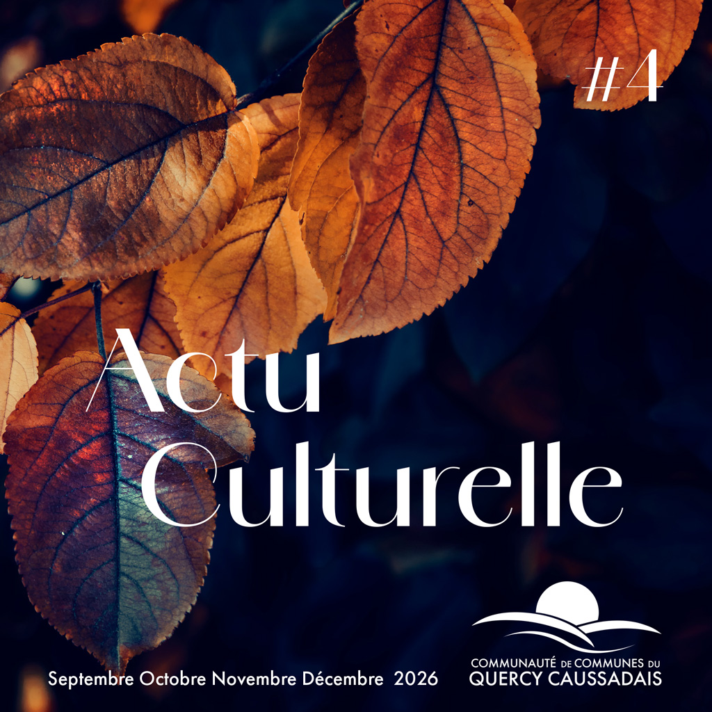 Feuilles d'automne sur fond noir.