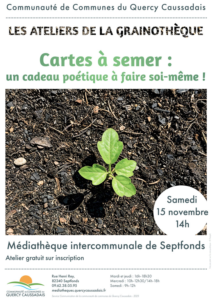 Petite plante verte qui pousse dans la terre