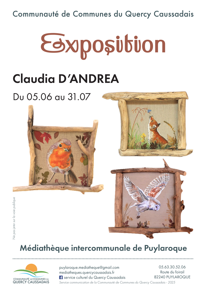 Peintures d'oiseaux et de renard