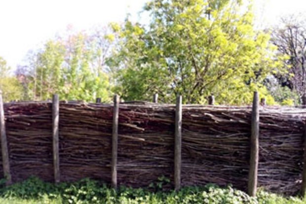 Haies de branchage et vieux bois