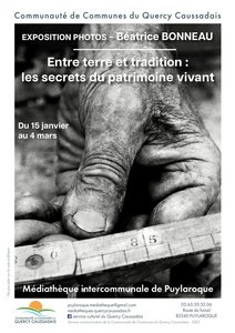 Photo de pouce en gros plan