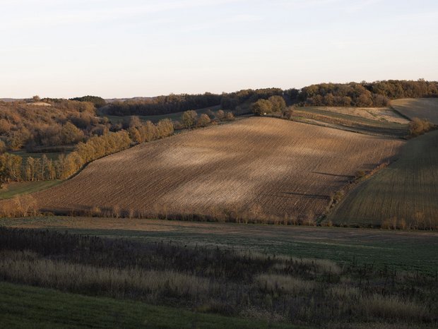Colline avec des champs et de la forêt